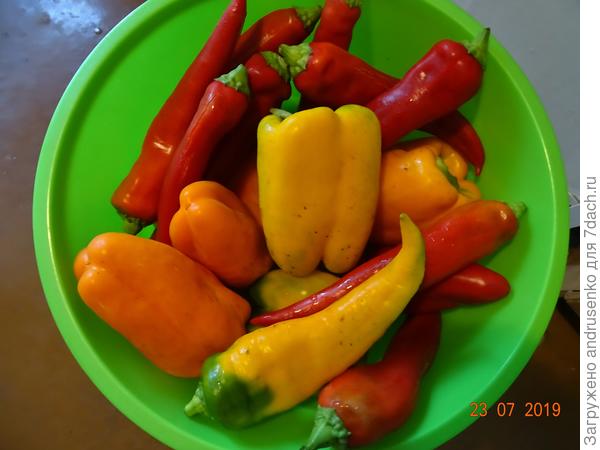 Еще немытые, в процессе.