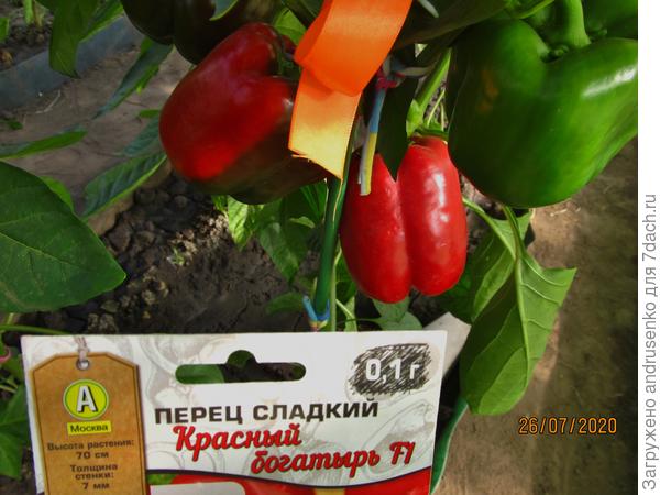Биологическая спелость