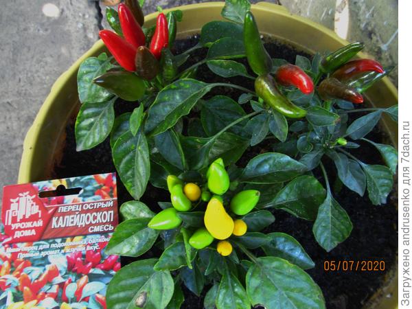 Калейдоскоп