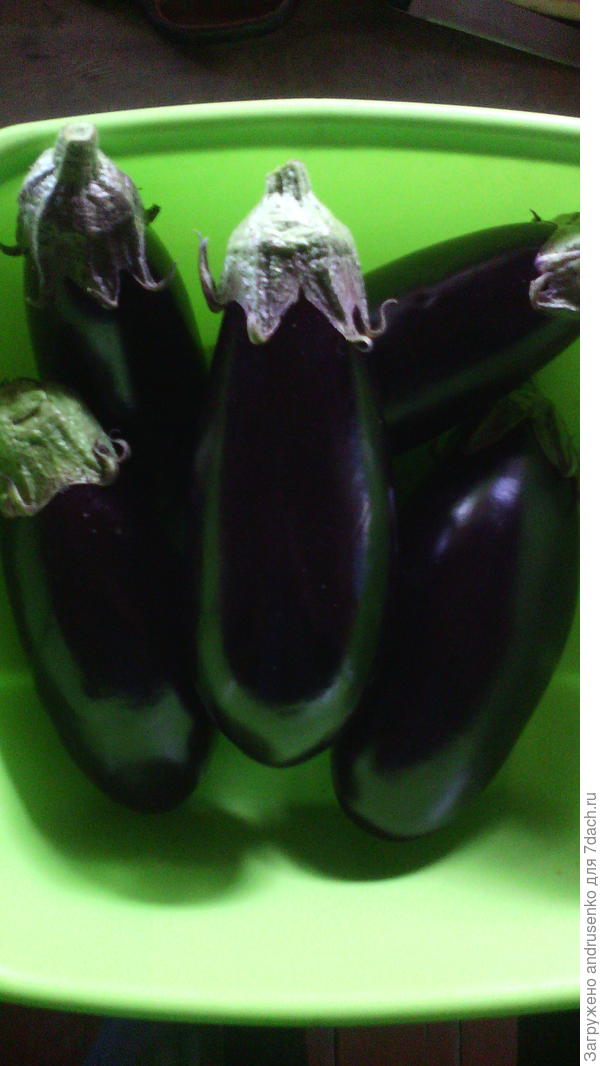 Дата съемки 30 июНя.