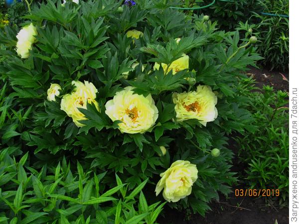 Фото прошлого года.