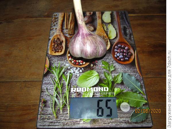 Может конечно и не самый крупный, но для меня самое главное что в головке 4-6 зубчиков.