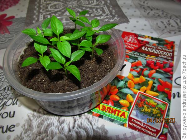 Острый перец.