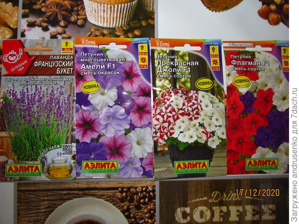 Моя прелесть.