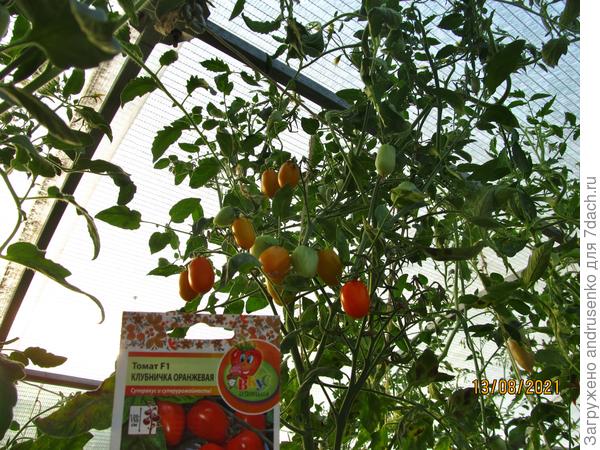 Почти уперлись в потолок