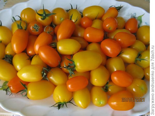 Клубнички от Русского огорода