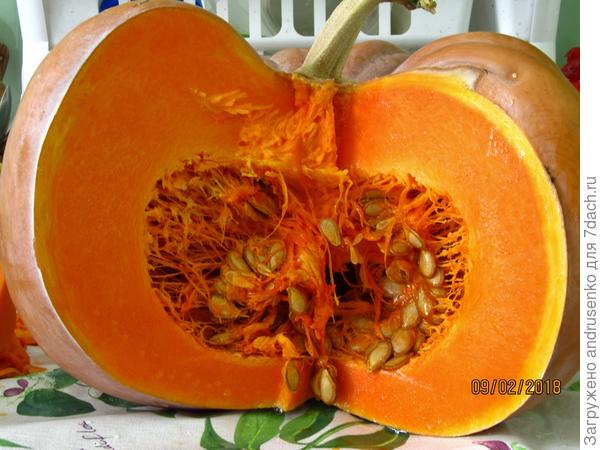 Тыква "Мускатная долька".