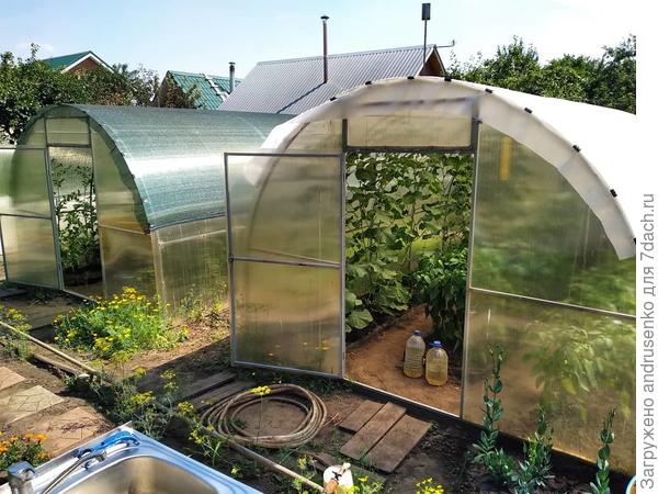 Фото прошлых лет, сейчас обе под сеткой.