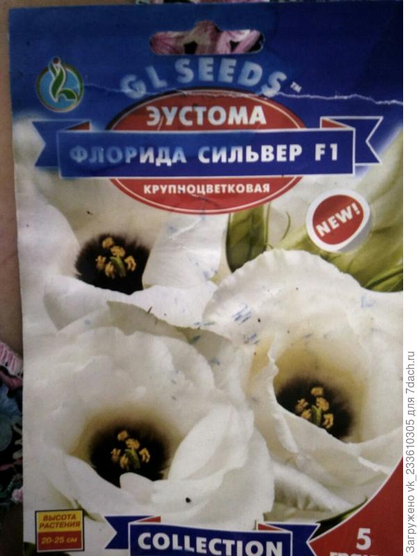 белая
