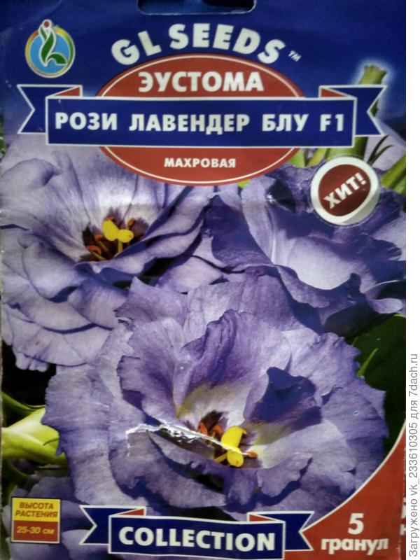 голубая