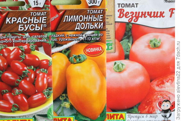 семена