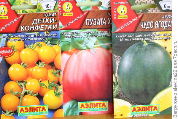 семена