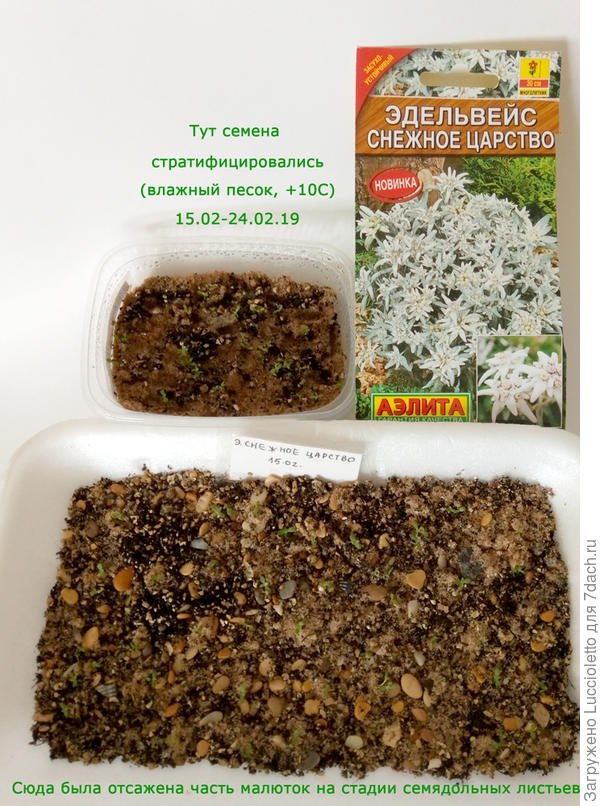 Как это было