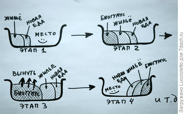 Шагающая гряда в отдельно взятом корыте. :-)