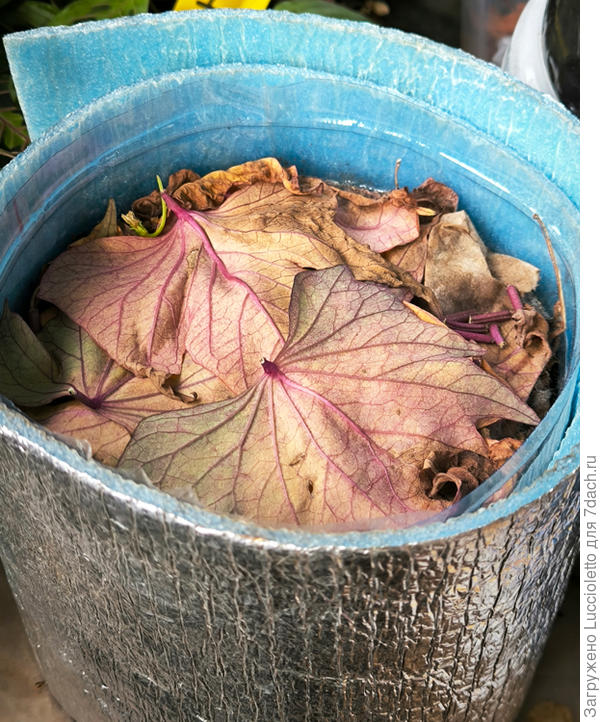 Укороченный пятилитровый баллон из-под воды, обернут светоотражающим материалом, чтобы не было перегрева и пересвета