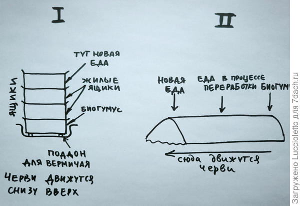 Вертикальный и горизонтальный способ содержания
