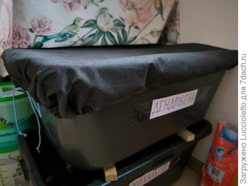 Так червятник выглядит сейчас