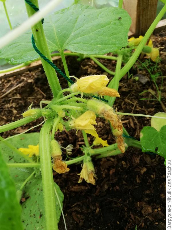 Вот как то так...