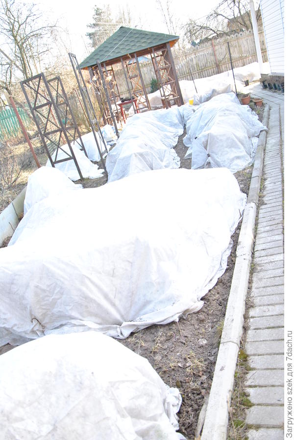 Укрытие роз