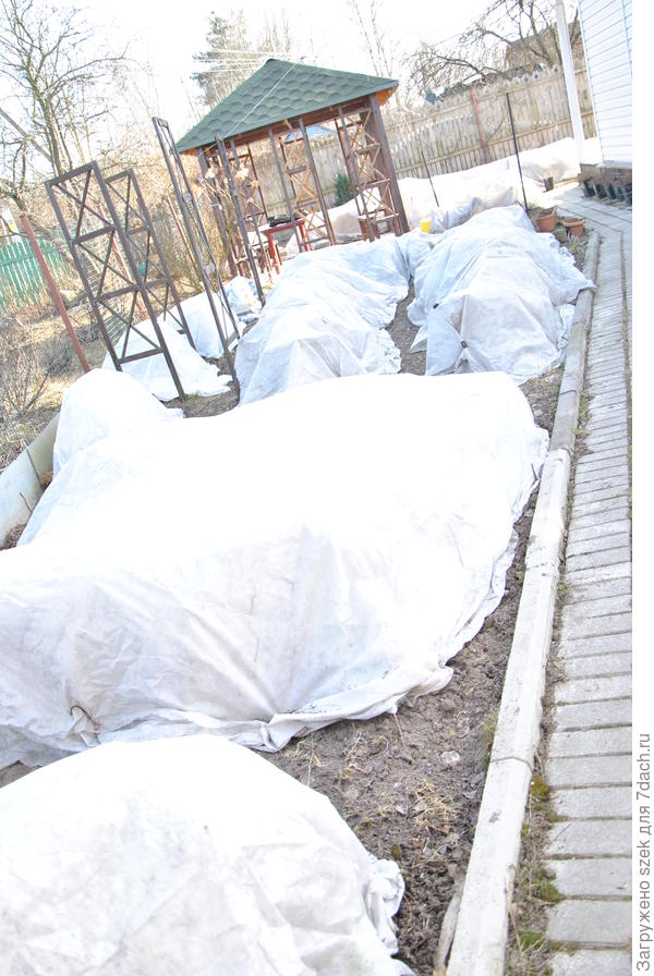 Общий вид укрытий