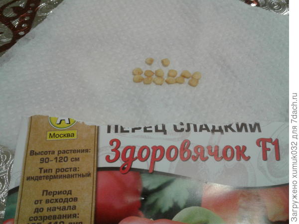 Здоровячок