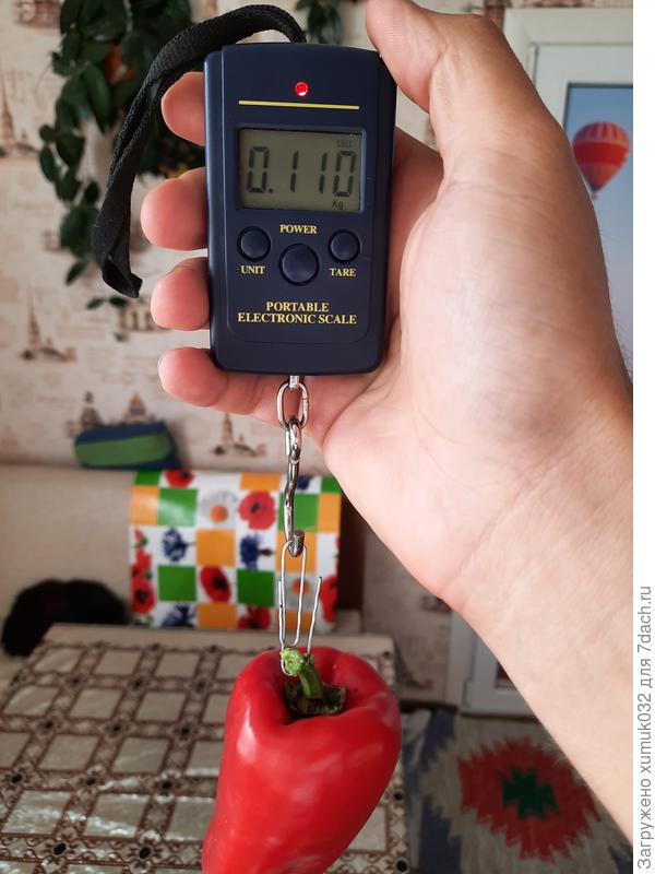 Перец &amp;amp;#39;Здоровячок&amp;amp;#39; F1