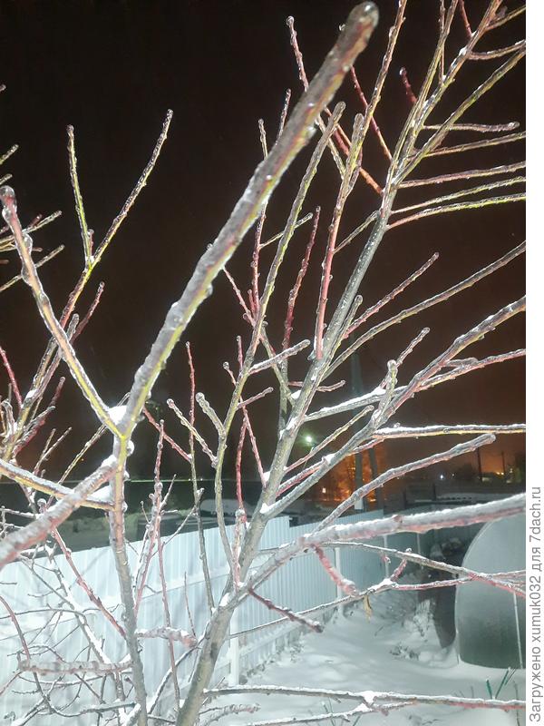 Хрустальный персик