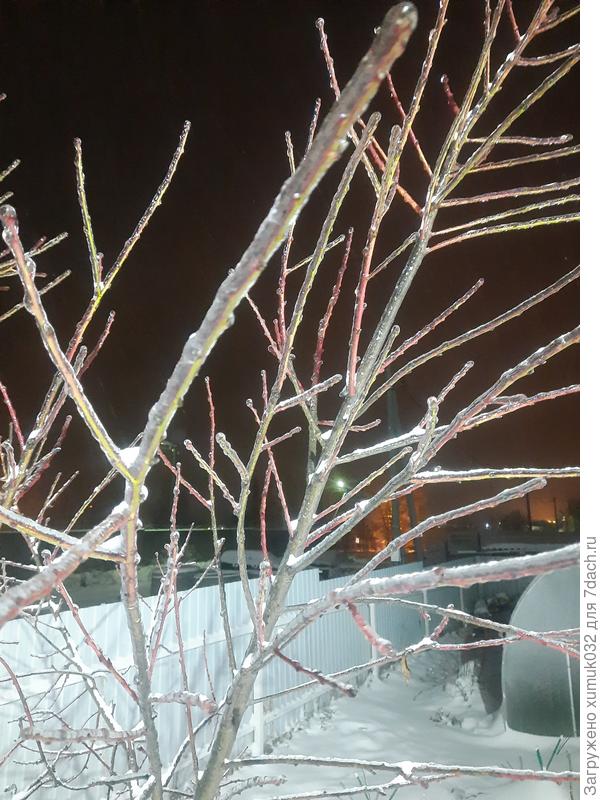 хрустальный персик