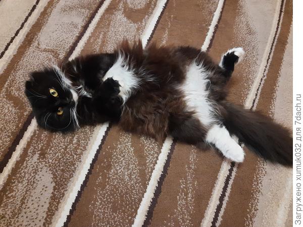 Феня отдыхает