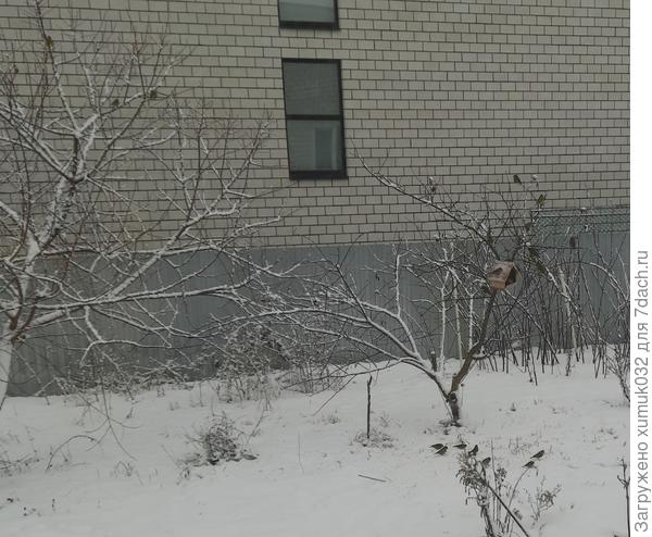 Зеленушки в столовке