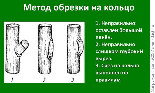 Обрезка (источник - интернет)