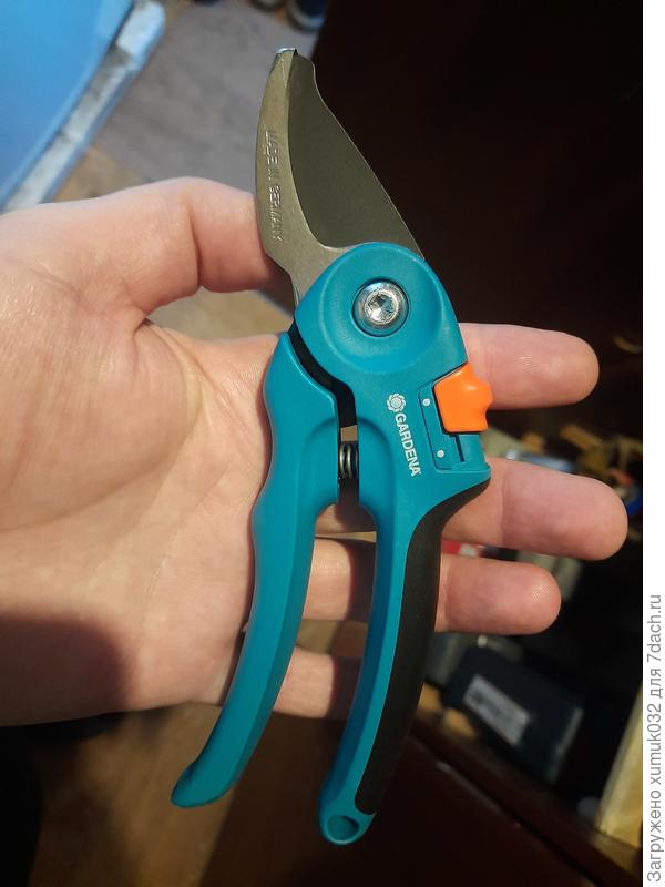 Вот он, красавчик!