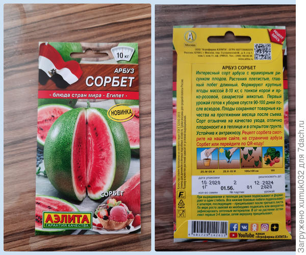 Арбуз 'Сорбет' от Аэлита