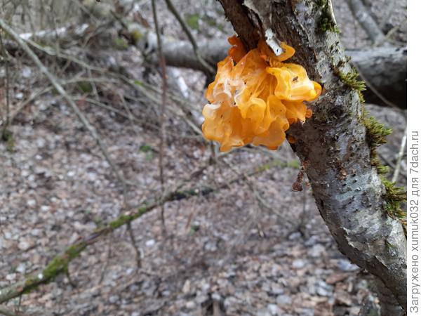 И вот такой строчок