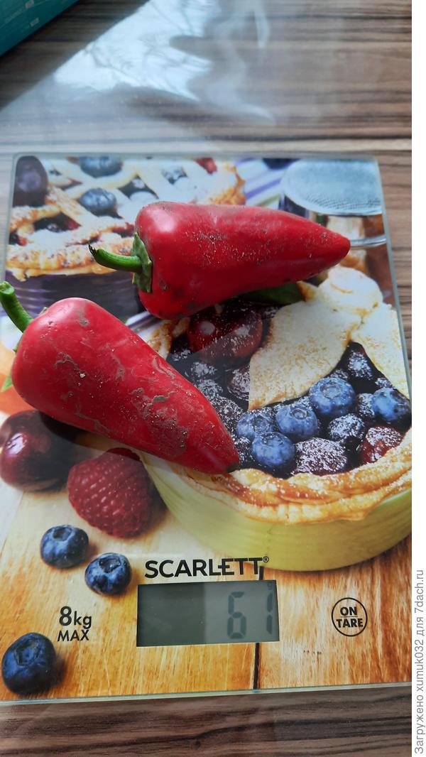 Перец 'Рубиновая лакомка' от Аэлита