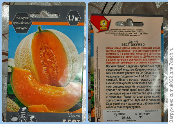 Дыня 'Бест Джумбо' от Аэлита