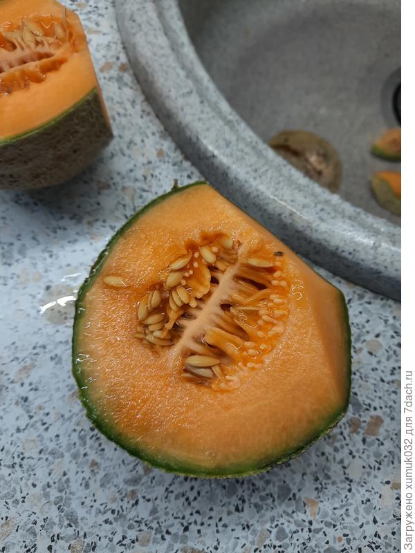 Дыня 'Бест Джумбо F1' от Аэлита