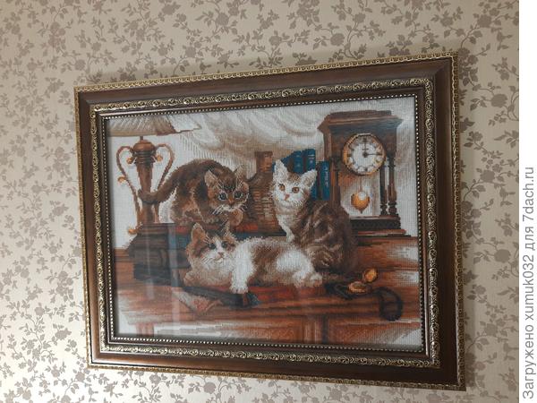 И еще котики