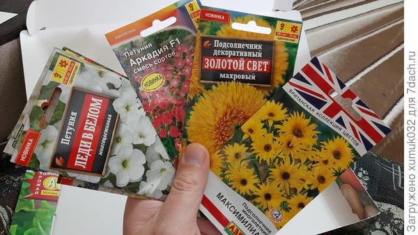 И еще цветочки