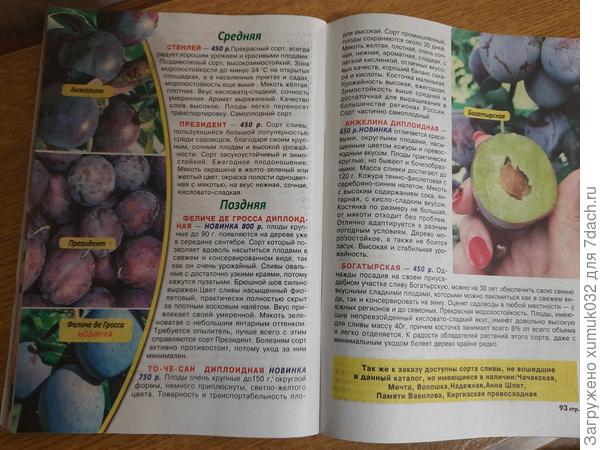 Содержимое