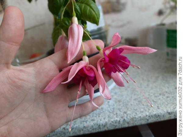 Для понимания размера