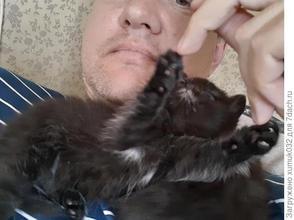 Кошечка в бикини