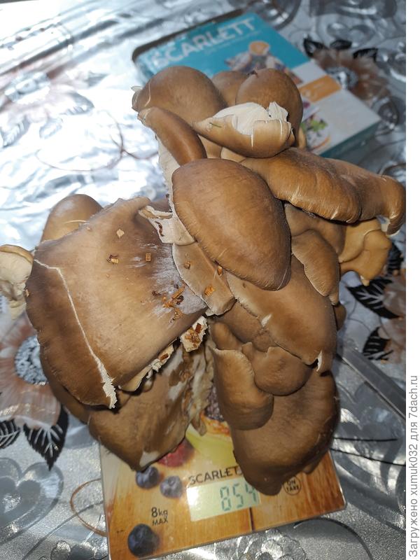 Взвешивание