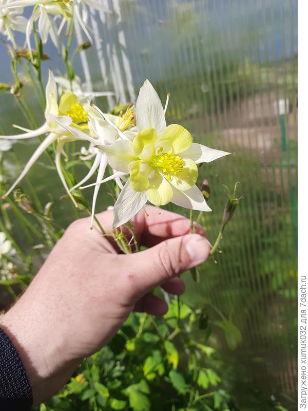 и еще один водосбор