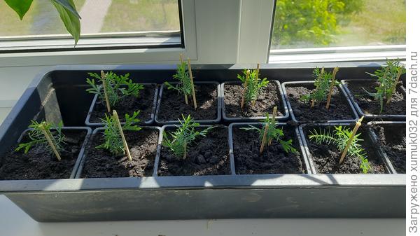 После обрезки