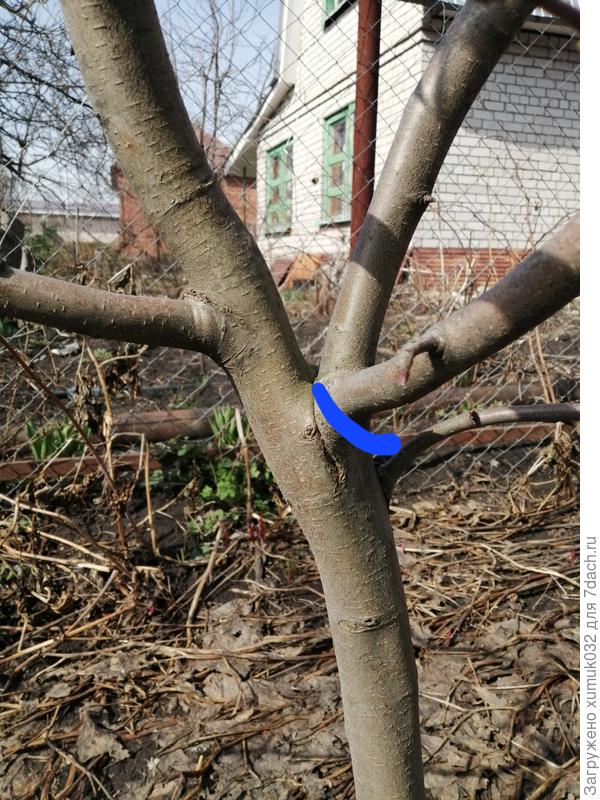 Резать по синей линии