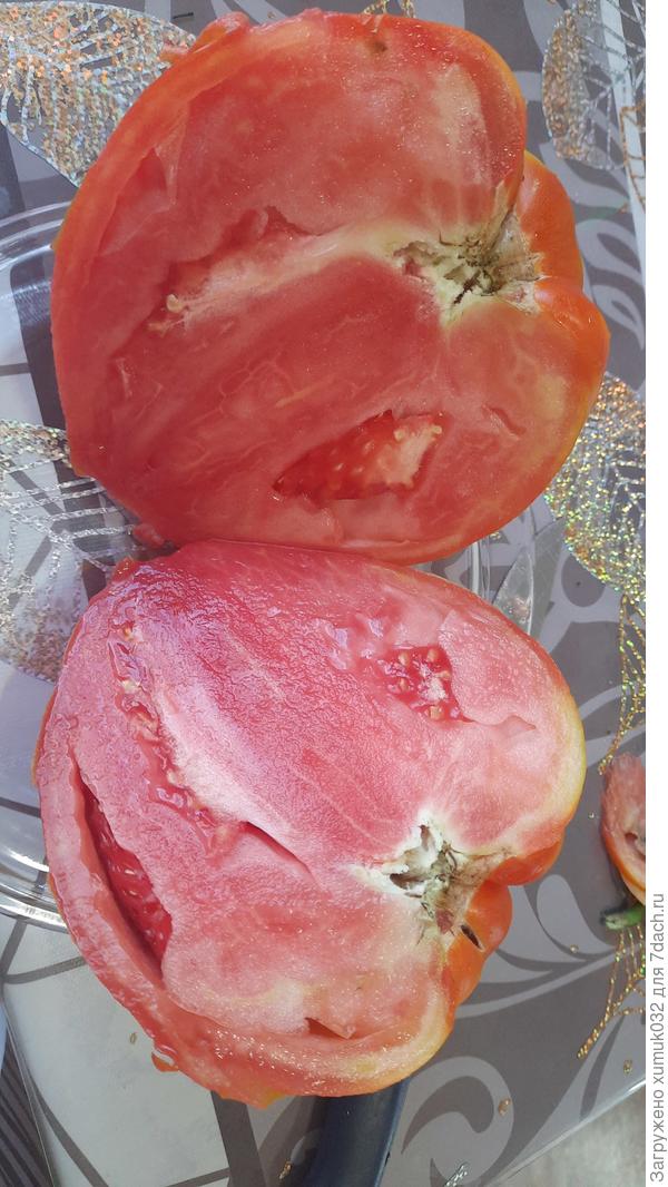 Помидорка в разрезе