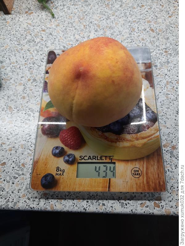 Контрольное взвешивание