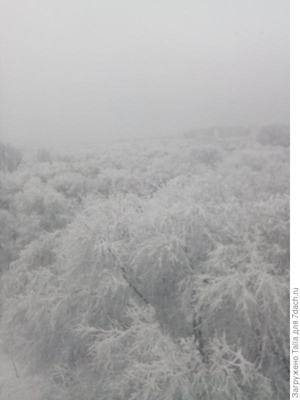 Парк в дымке.