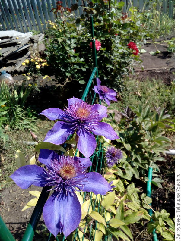 Безымянный, надеюсь пока